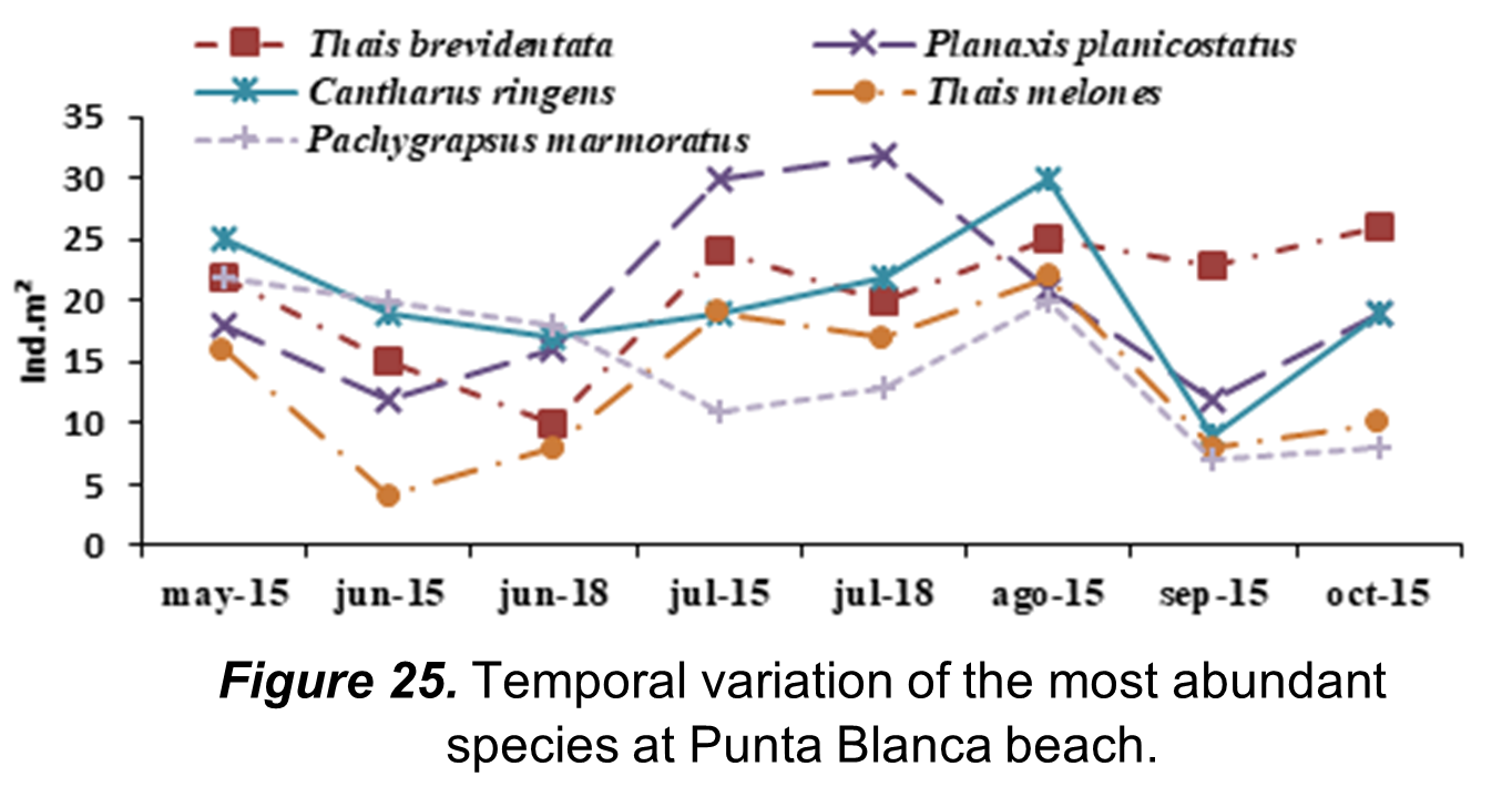 Temporal
variation of the most abundant species at Punta Blanca beach.