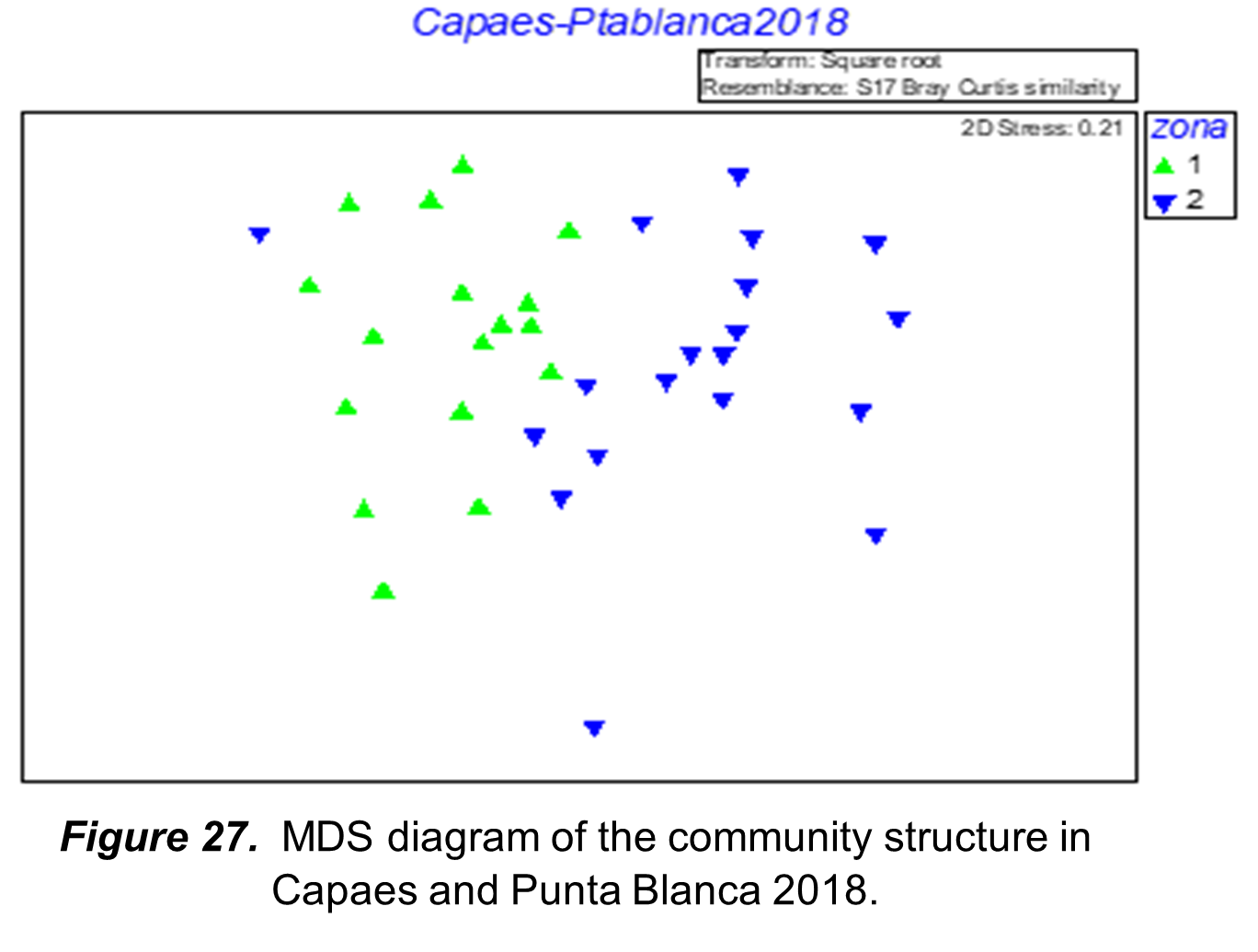 MDS diagram of the community structure in Capaes and
Punta Blanca 2018.