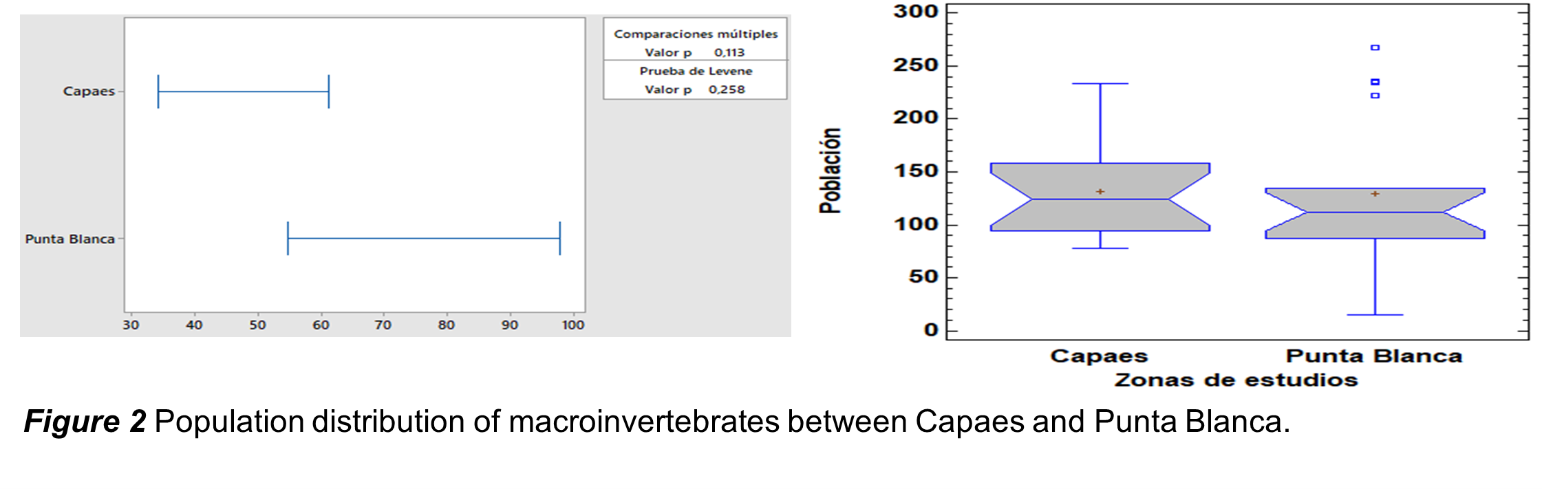 Population
distribution of macroinvertebrates between Capaes and Punta Blanca.