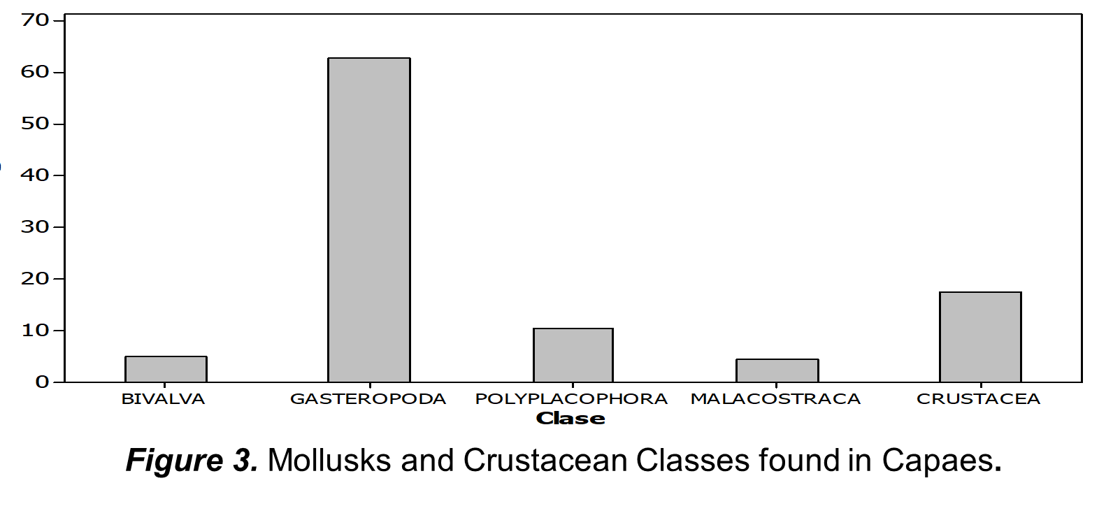 Mollusks and
Crustacean Classes found in Capaes.