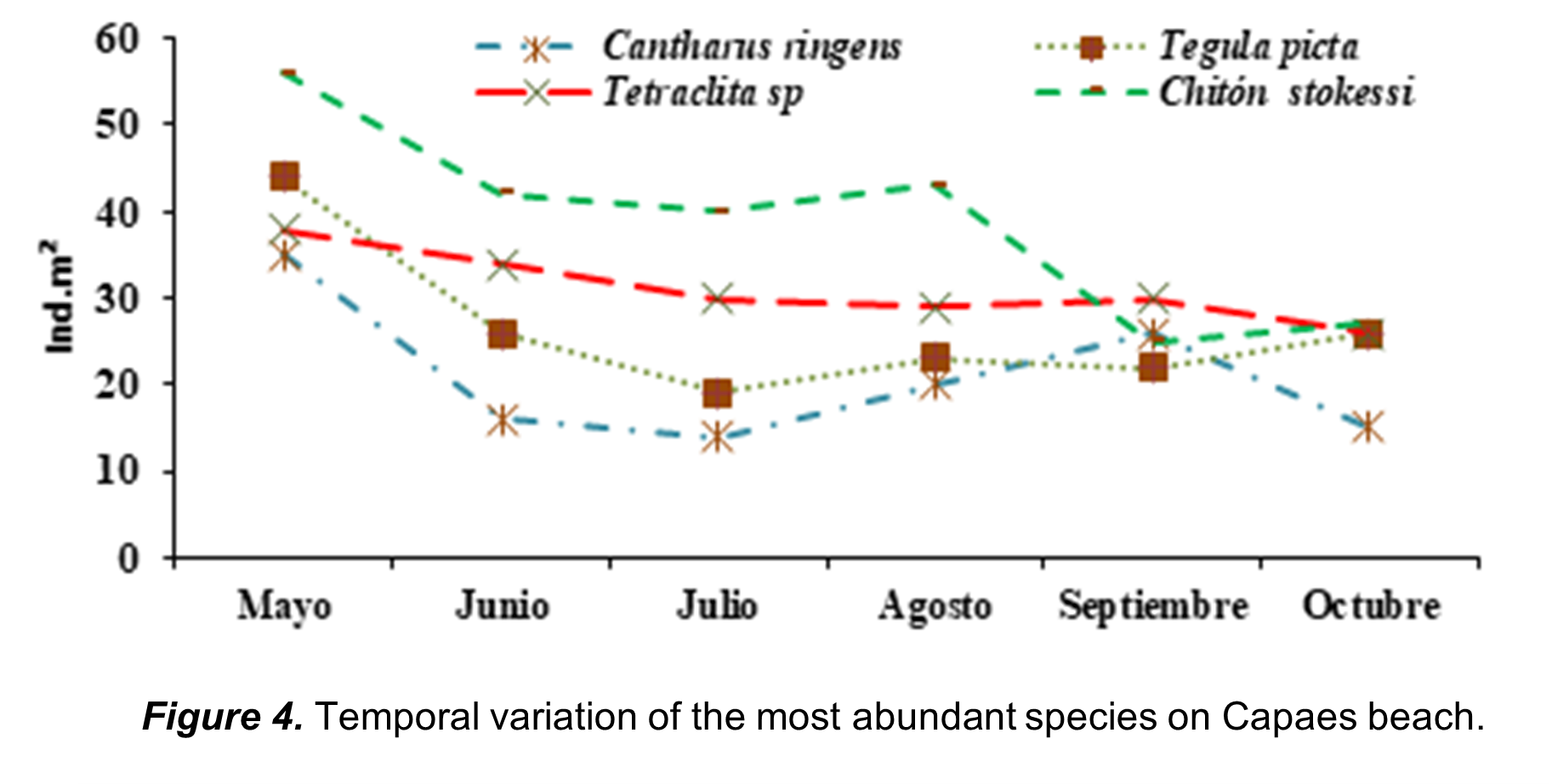Temporal variation of the most species on capaes beach