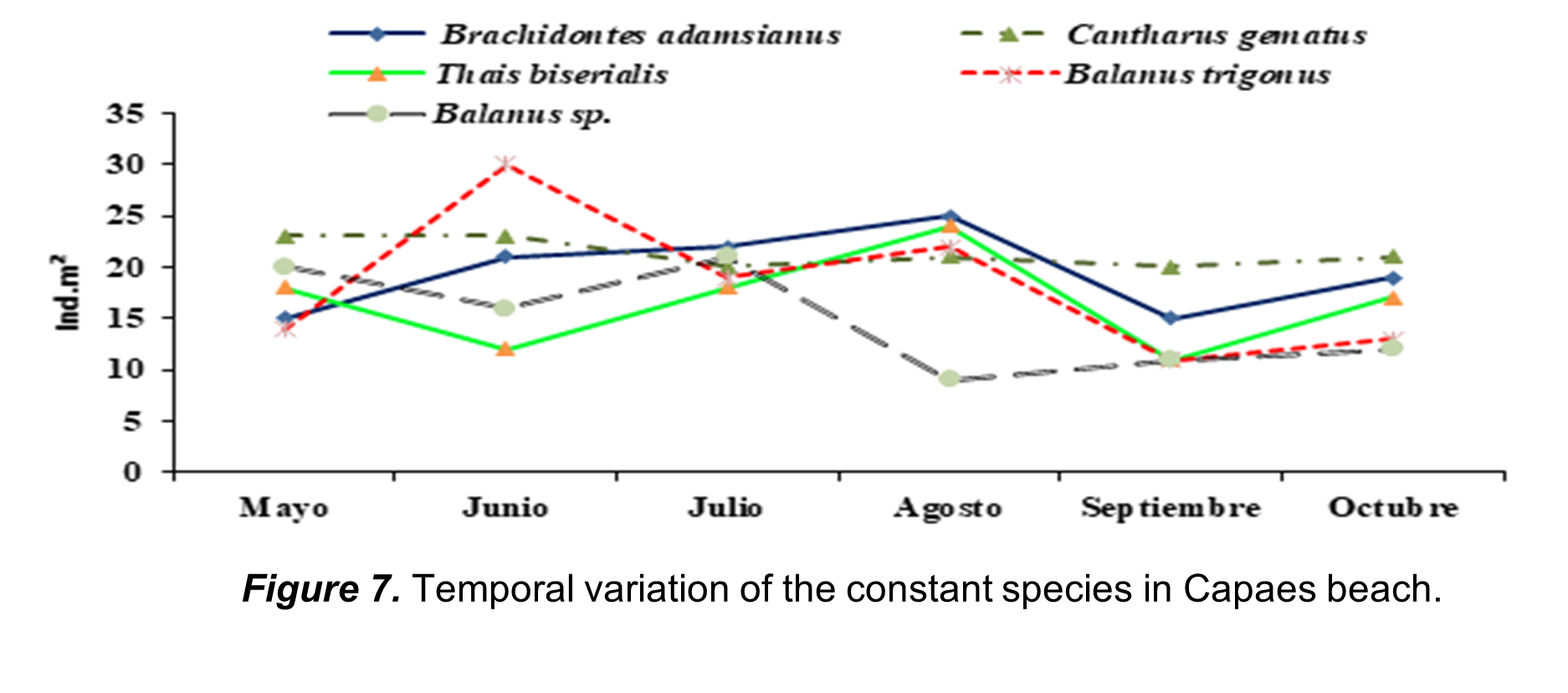 Temporal variation of
the constant species in Capaes beach.