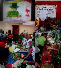Figura 3.
			Feria de la Yuca – 2018 realizada en las instalaciones del  CSSCRP.