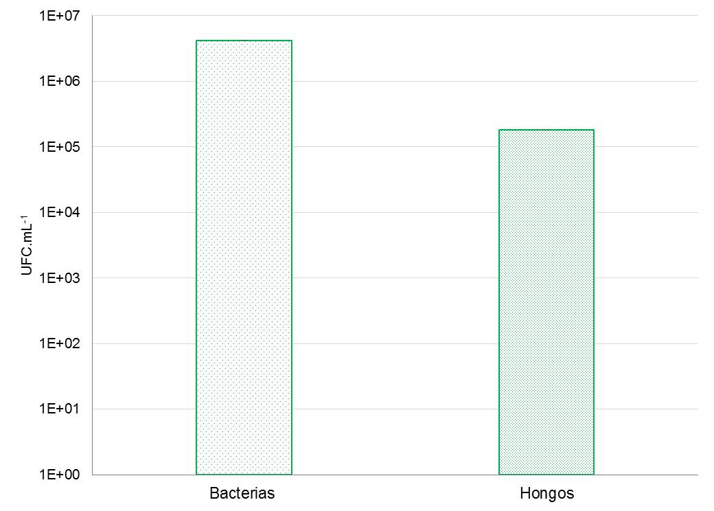 Figura 3.
			Proporción de hongos y bacterias en el biofertilizante a base de Eichhornia crassipes a los 60 días de iniciado el compostaje.