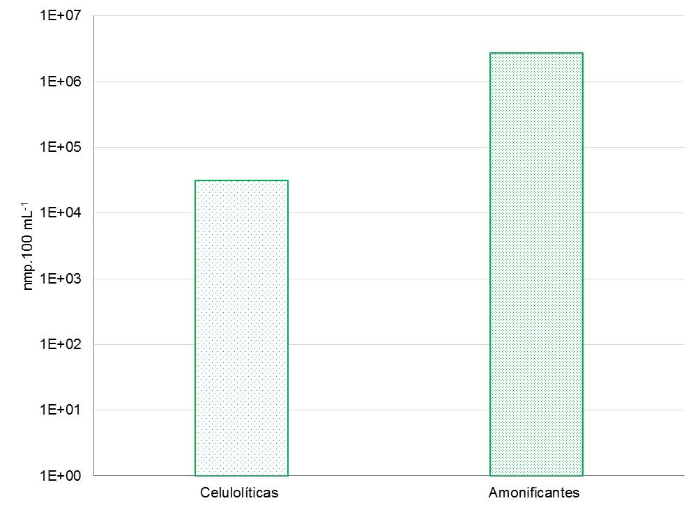Figura 4.
			Proporción de bacterias amonificantes y celulolíticas presentes en el biofertilizante a base de Eichhornia crassipes a los 60 días de iniciado el compostaje. 