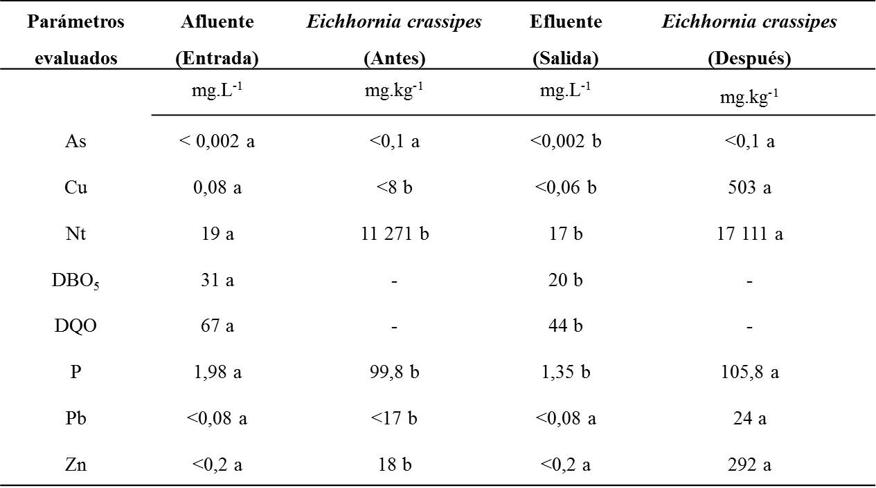 Cuadro 1. 
			Comparación de parámetros químicos en el sistema de fitorremediación de la laguna de oxidación del cantón El Pangui y de la biomasa total de la Eichhornia crassipes antes y después de ser implementada en dicha laguna (n=6).
