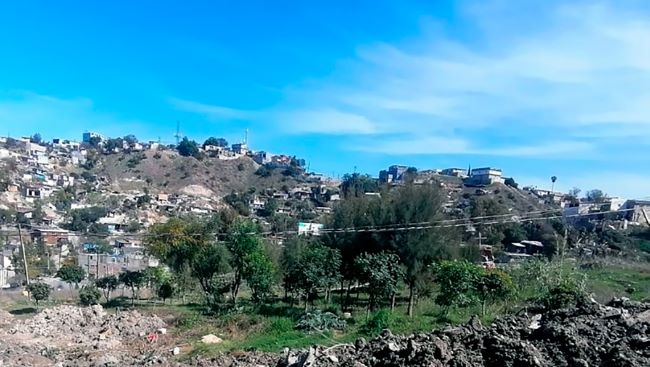Zona de forestaci&oacute;n de talud