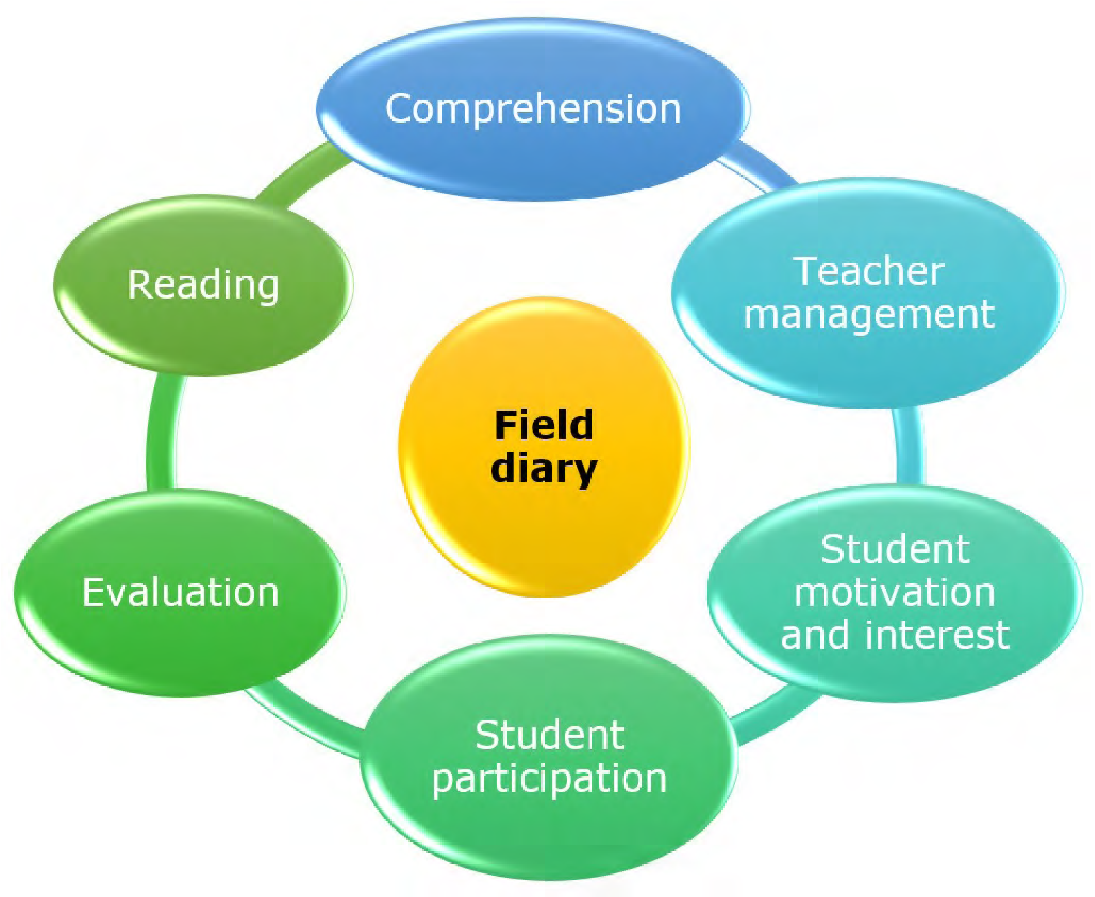 Categories emerging
from the field diary