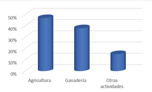 Actividad que realizan