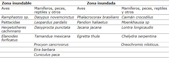 Fauna presente en el humedal