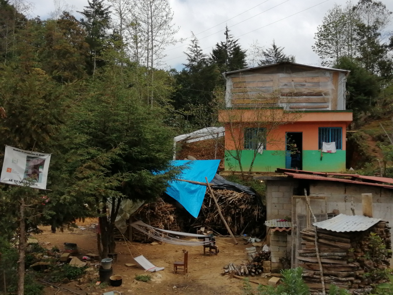  Módulo para la producción
de hongo en Aldama, Chiapas