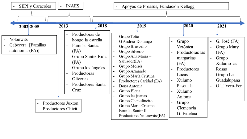 Línea de tiempo de la producción
de hongo en Aldama