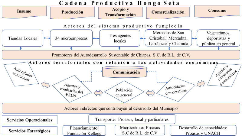 Esquema de la cadena productiva de la producción de hongo en Aldama