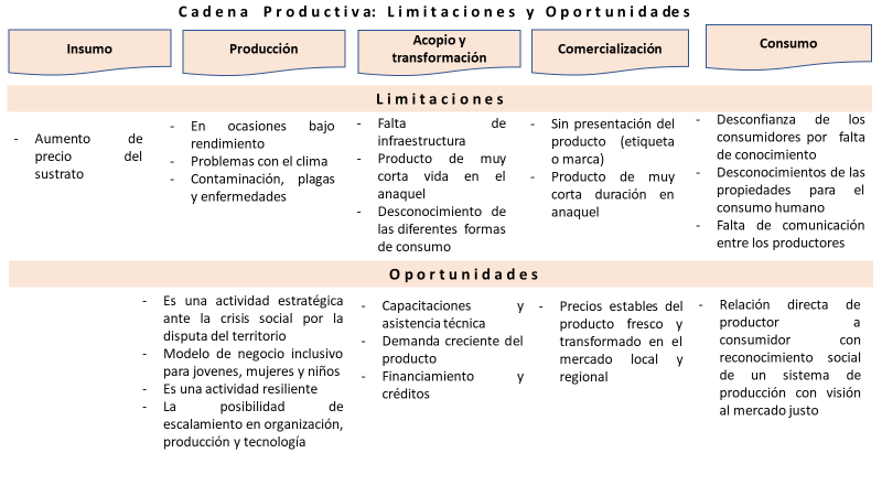 Limitaciones y oportunidades del sistema productivo de hongos en Aldama