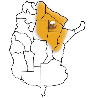 Zona de producción algodonera en Argentina   