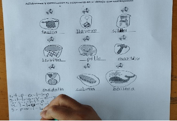 Sílabas con la letra ll