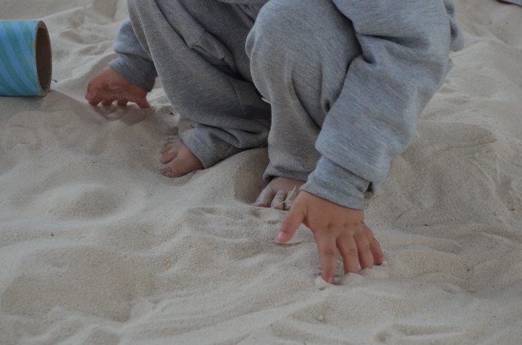 Figura 2. Elementos del mar
