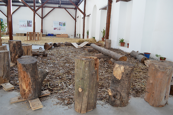 Figura 1. Espacio de exploración