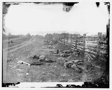 Antietam, Md. Confederate dead by a fence on the Hagerstown Road (1862)