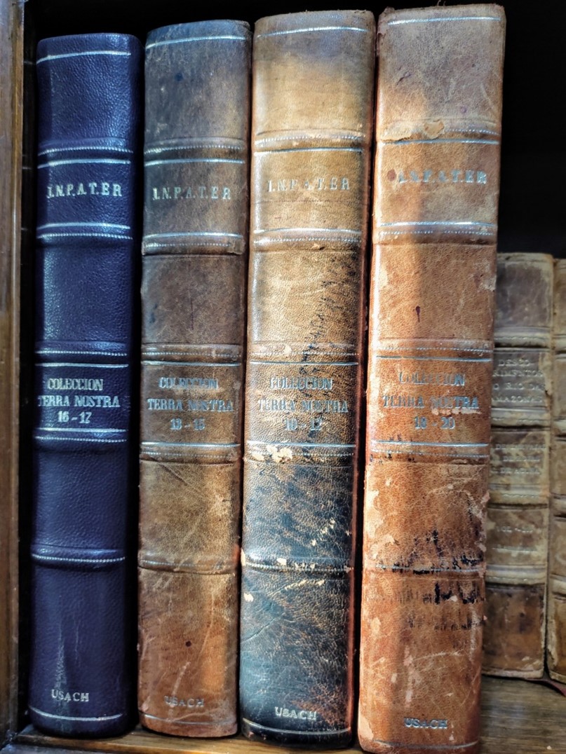 Parte de la colecci&oacute;n del INPATER, Santiago.