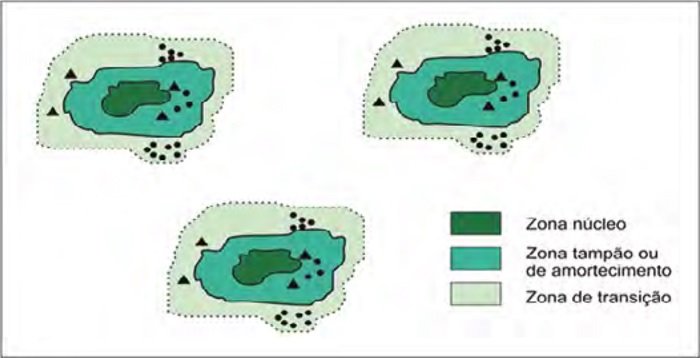 Zoneamento tradicional de Reservas da Biosfera, com suas respectivas zonas
Núcleo (Unidades de Conservação), de Amortecimento e de Transição.