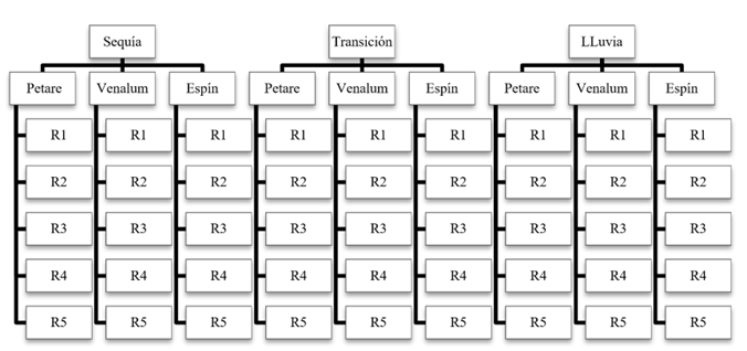 Dise&ntilde;o experimental ortogonal con tres factores; &eacute;pocas con tres niveles, playas con tres niveles y replicas con cinco niveles.