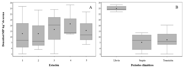 Caracterizaci&oacute;n de los micropl&aacute;sticos en playa Venalum durante el periodo de estudio. Variaci&oacute;n espacial de la densidad (A) y variaci&oacute;n temporal de la densidad (B).