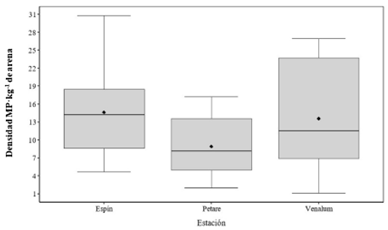 Variaci&oacute;n espacial de la densidad de micropl&aacute;sticos en las tres playas muestreadas en este estudio.