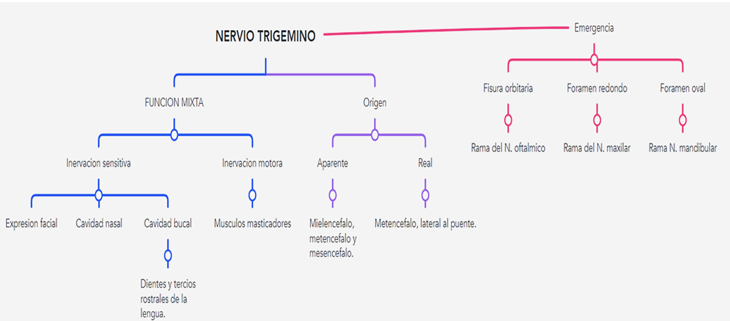 Figura N° 2: buen nivel de integración