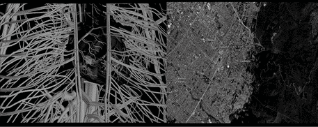 Venas y arterias del cuerpo social V2.