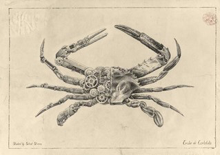 Mechanical / Biological Crustacean Study.