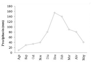 Precipitaciones registradas durante el  

periodo
del estudio