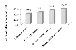 Altura de plantas en fase fenol&oacute;gica de  floraci&oacute;n con los diferentes niveles
de fertilizaci&oacute;n