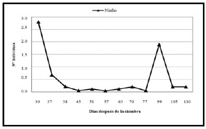Población promedio de ninfas para días después de la siembra