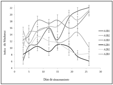 Variación de índice de madurez de fruta pitahaya en los tres estados de madurez (B1, B2 y B3) almacenadas a temperatura ambiente (A1) y
frío (A2) hasta los 26 días