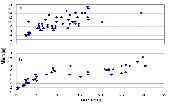Relación de altura y
DAP a) primer parche b) segundo parche de A.
acuminata (Kunth) 