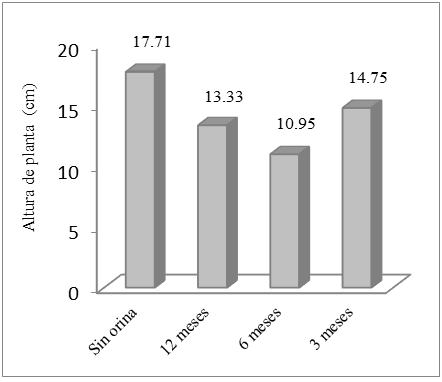 Altura de planta con la aplicación de orina humana fermentada (OHF) en diferentes
tiempos 