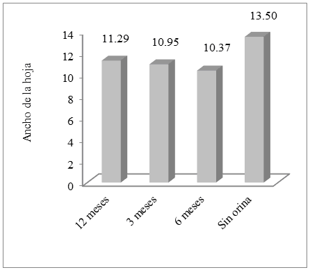 Ancho de hoja con la aplicación de orina humana fermentada (OHF) en
diferentes tiempos