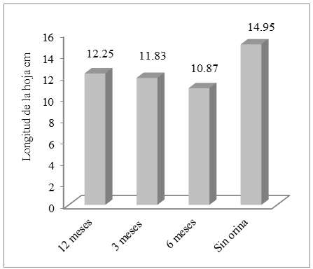 Longitud de hoja con la
aplicación de orina humana fermentada (OHF) en diferentes tiempos