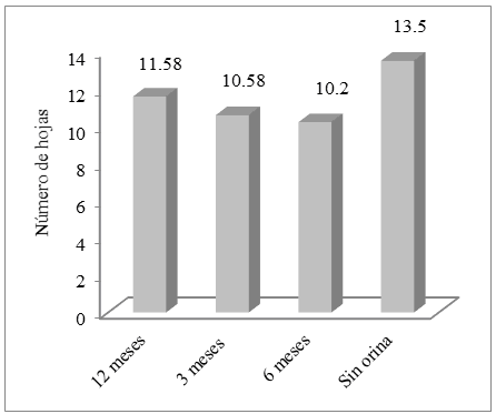 Número de hojas con la aplicación de orina humana fermentada (OHF) en
diferentes tiempos