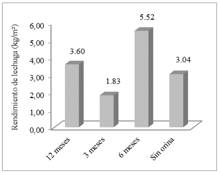 Rendimiento de lechuga con la aplicación de orina
humana fermentada (OHF) en diferentes