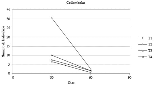 An&aacute;lisis de microfauna Collembolas Fase II y Fase III