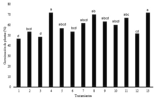 Altura de planta por efecto de tratamientos
en la tercera semana