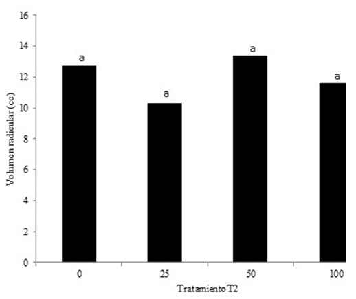 Volumen radicular
por efecto de tratamiento 2.  

Tratamientos
con la misma letra no son significativamente  

diferentes
a P> 0.05