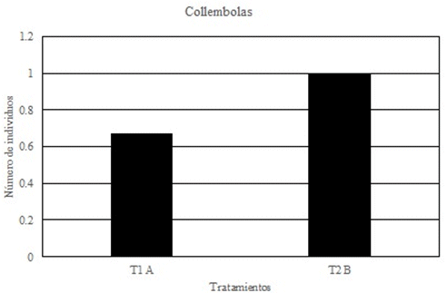 An&aacute;lisis
de microfauna Collembolas Fase II