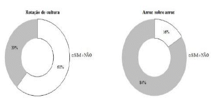 Prática da rotação
de culturas e do cultivo consecutivo de arroz