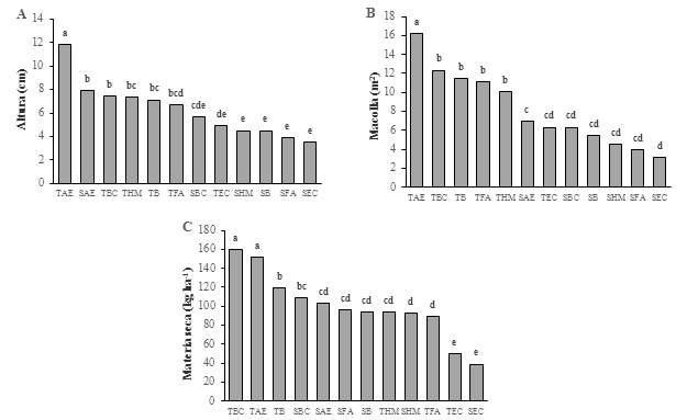 Diferencia de AP, NM y MS entre siembra (SEC=E.
curvula, SFA=F. arundinacea, SBC=B. catharticus, SHM=H.
muticum, SAE=A. elongatum y SB=Bromus sp.) y trasplante (TEC=E.
curvula, TFA=F. arundinacea, TBC=B. catharticus, THM=H.
muticum, TAE=A. elongatum y TB=Bromus sp.) en cuatro meses de
desarrollo en suelos salinos de la cuenca baja del río Lauca en territorio de
Uru Chipaya