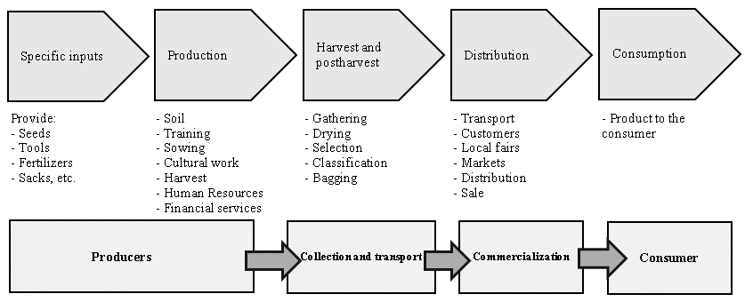 Value chain in horticultural products of the Guardaña basin, Central Altiplano
of Bolivia