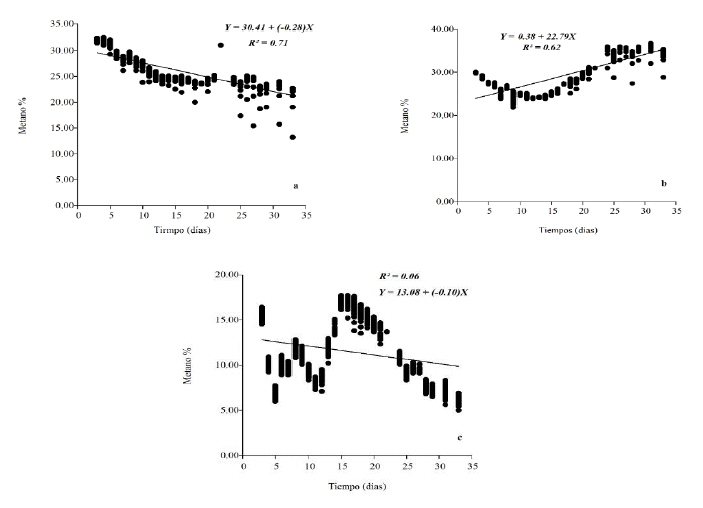 Variación de
Metano (%) en relación a 33 días de monitoreo en biodigestores termofílicos de
lodos de lagunas de estabilización de Puno (a), Juliaca (b) e Ilave (c)