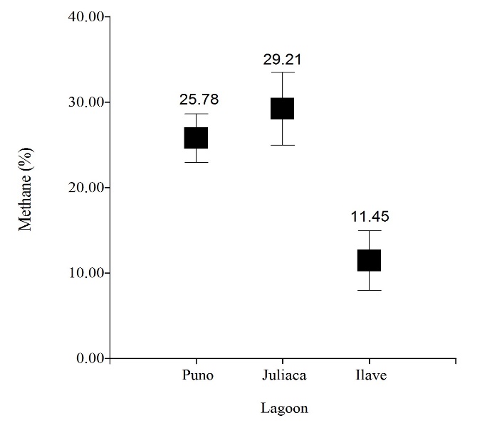 Percentage of methane generated from SS from the
stabilisation ponds of Puno, Juliaca and Ilave, through an anaerobic digestion
process in thermophilic biodigesters n= 4285